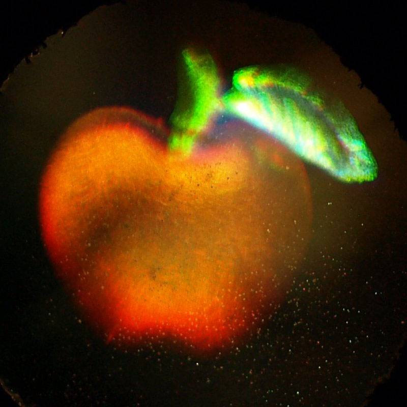 Hologramas de color tridimensionales evitarán usar gafas 3D