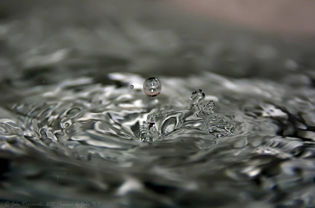 Hoy se celebra el Día Mundial del Agua