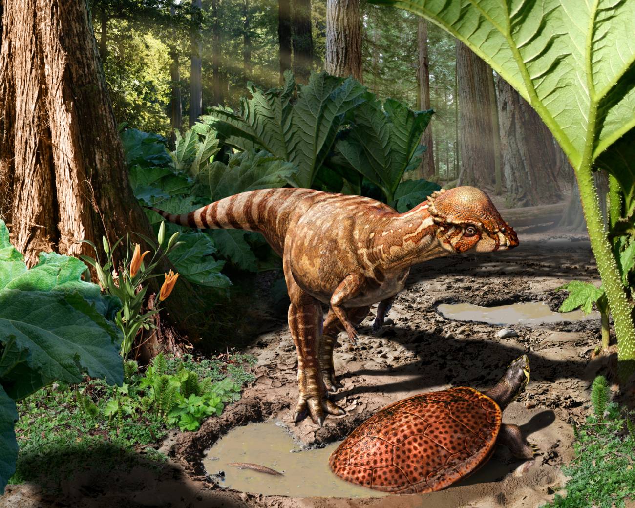 Recreación artística del dinosaurio Acrotholus audeti / Julius Csotonyi, Nature.