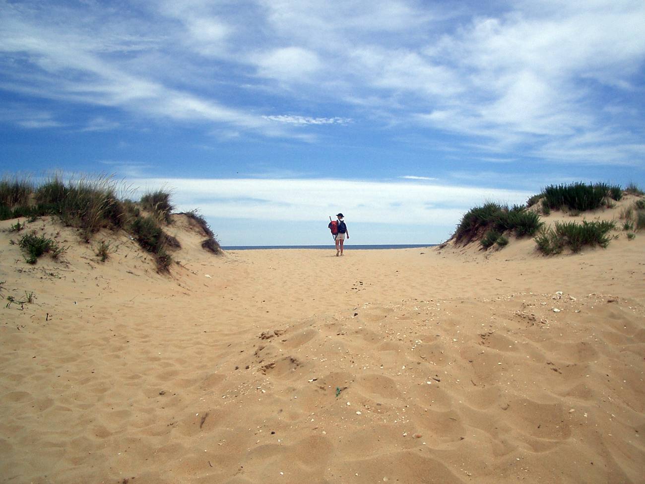 La conservación de las dunas costeras, en peligro por el diseño inadecuado de infraestructuras
