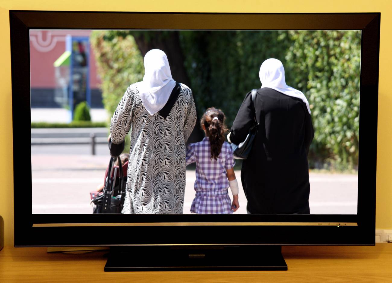 La imagen del inmigrante en el cine y la literatura no refleja su realidad social