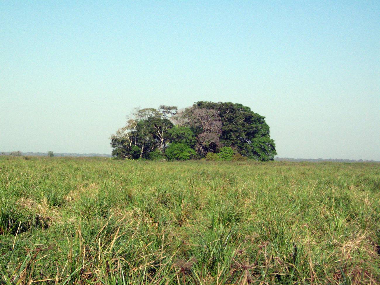 La "Isla del Tesoro" de la Amazonia boliviana ocultaba el rastro de sus primeros habitantes