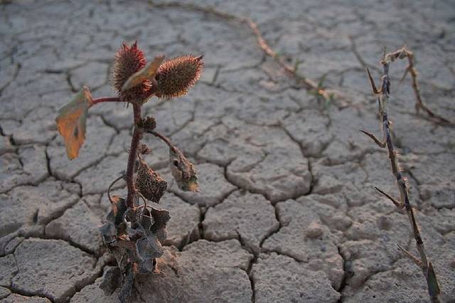 La ola de calor de 2010 fue una de las más cálidas de los últimos 510 años
