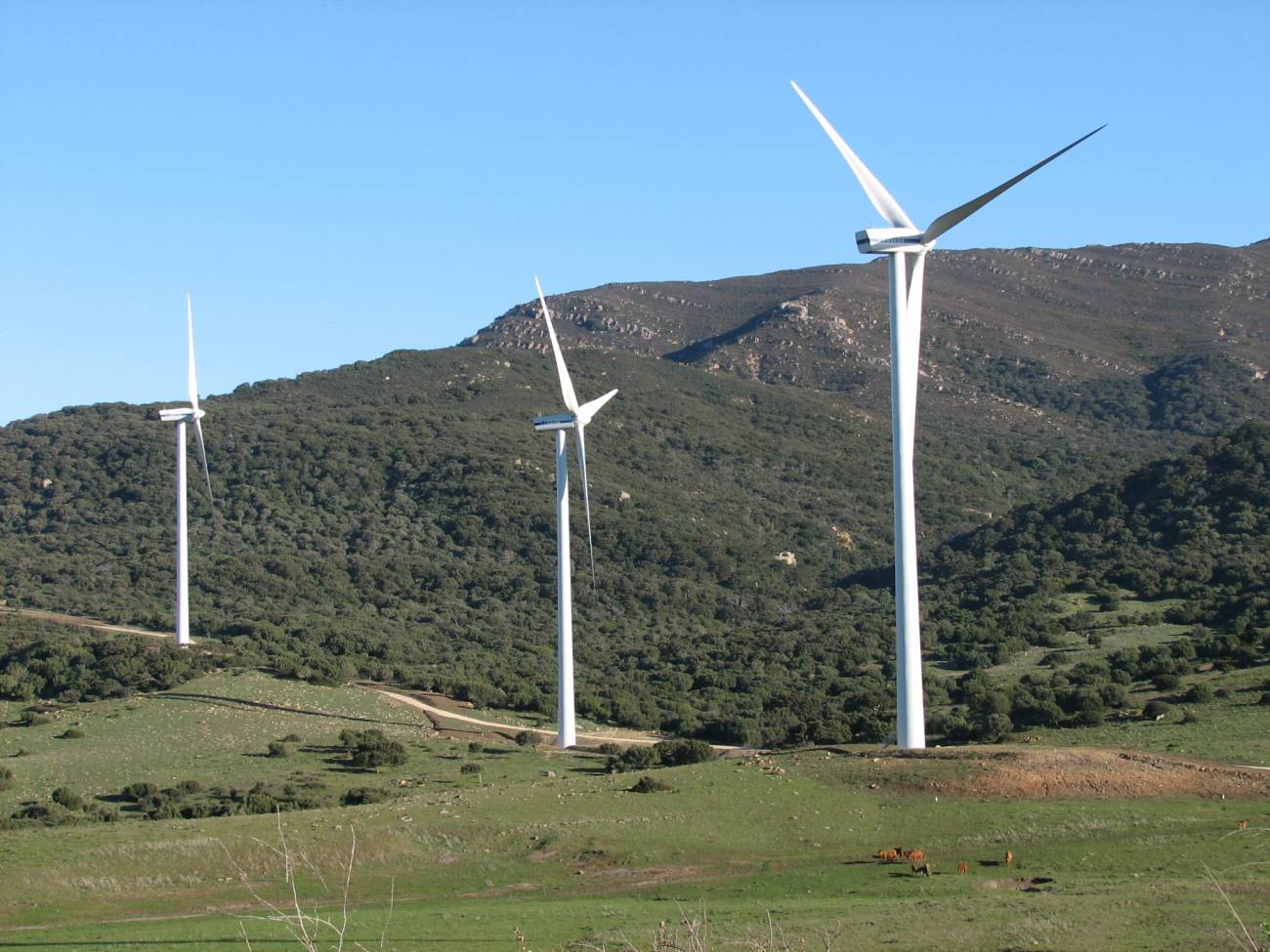 Parque Natural Alcornocales