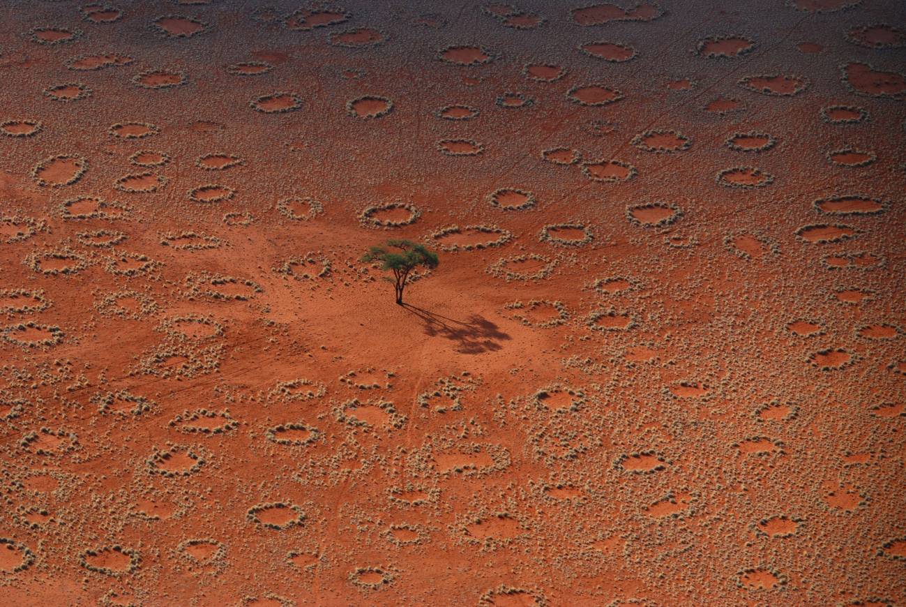 Los círculos de hadas del desierto se forman por la acción de las termitas. / N. Juergens