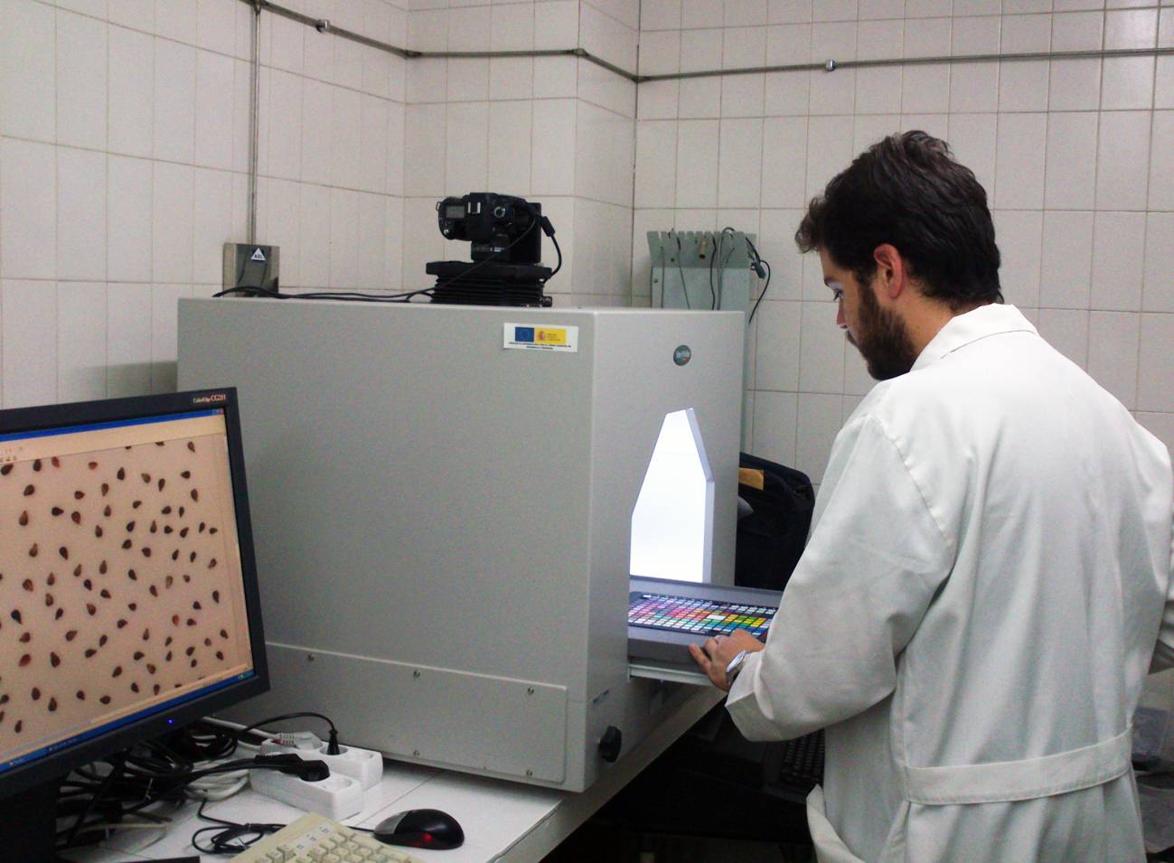 Las uvas revelan su madurez en la cámara de iluminación