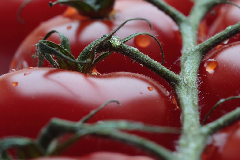 El precio de los alimentos orgánicos puede llegar a ser el doble que el de los convencionales. Imagen: Dynet. 