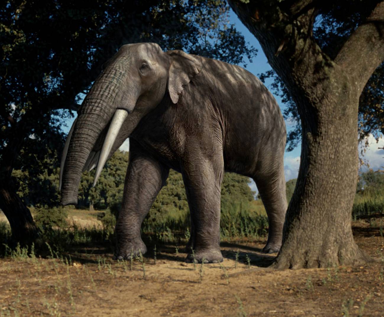 Los investigadores han analizado una buena representación de los grupos faunísticos más abundantes en la Península Ibérica entre el Mioceno final y el Pleistoceno medio./ Mauricio Antón ( MNCN -CSIC)