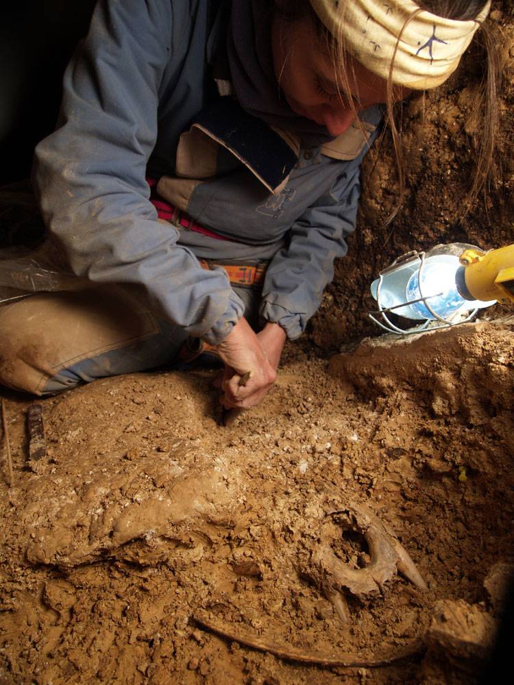 Nuria García excavando restos del Ursus deningeri en la Sima / (c) Javier Trueba  (Madrid Scientific Films)