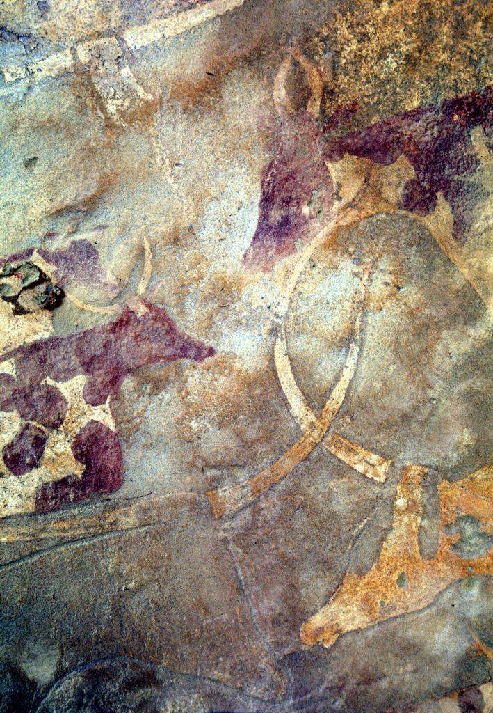 Otra prueba evidente del pastoreo prehistórico en el norte de África proviene de las pinturas rupestres y grabados del Sáhara. Imagen: Roberto Ceccacci. The Archaeological Mission in the Sahara, Sapienza University of Rome. 