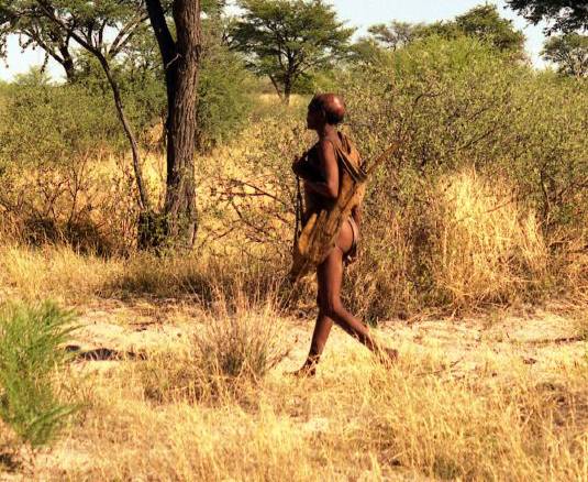 Los humanos modernos surgieron del sur de África