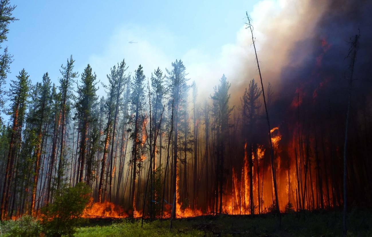 Los incendios, al alza por el cambio global
