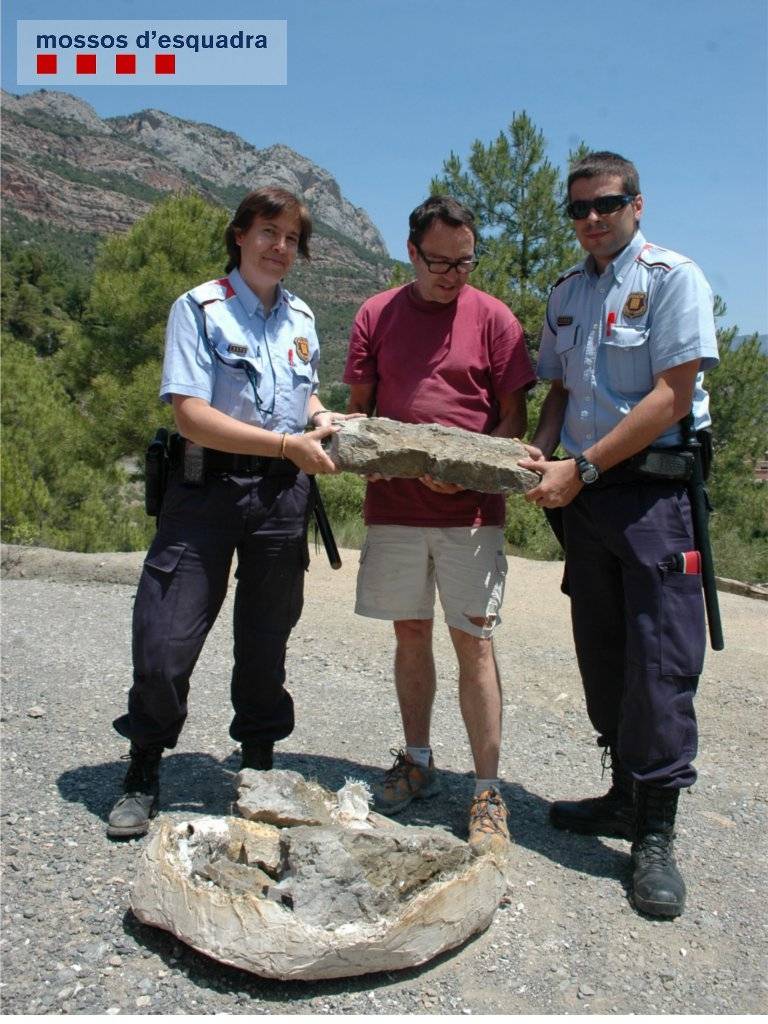 Los Mossos d'Esquadra recuperan los restos del fósil de Coll de Nargó robado en mayo