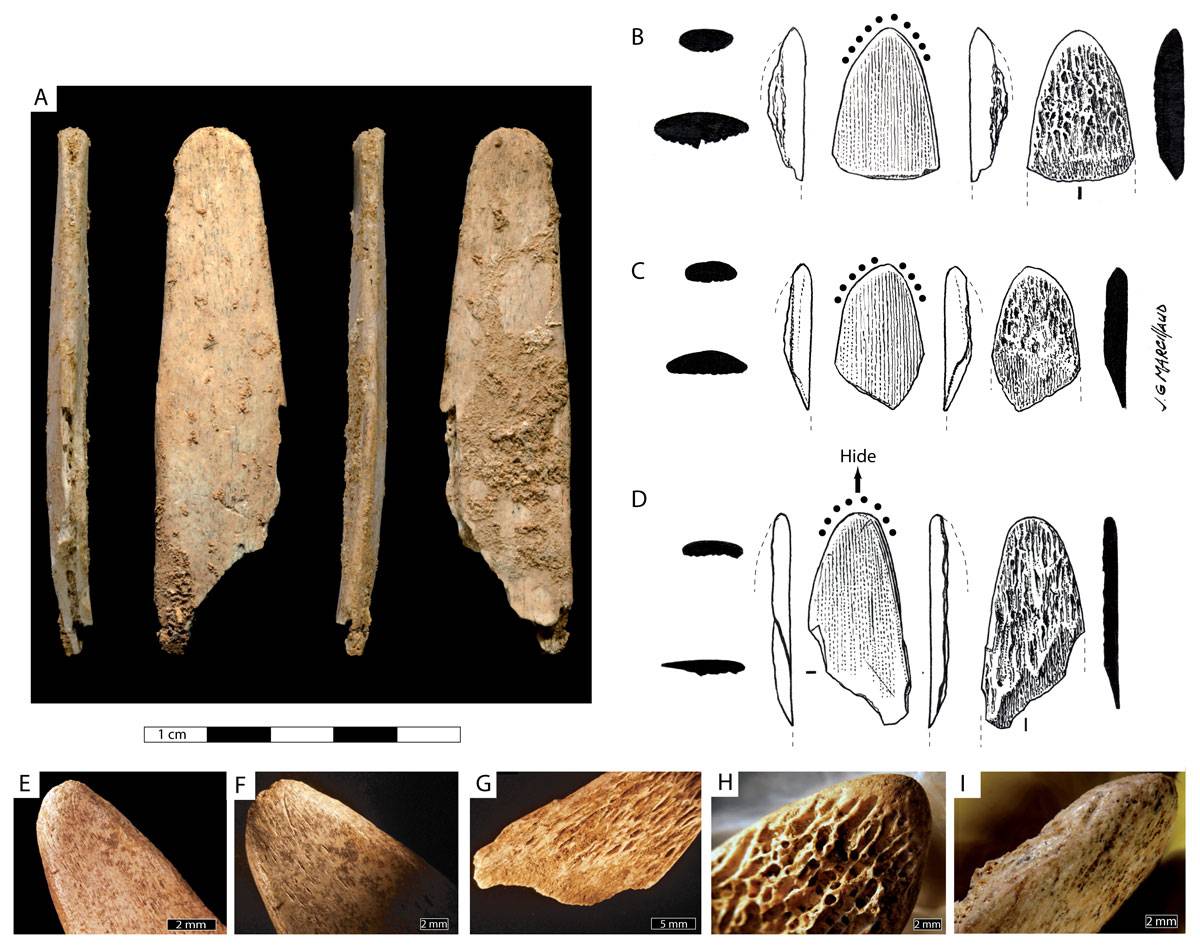 Los neandertales fueron pioneros en la creación de herramientas especializadas 