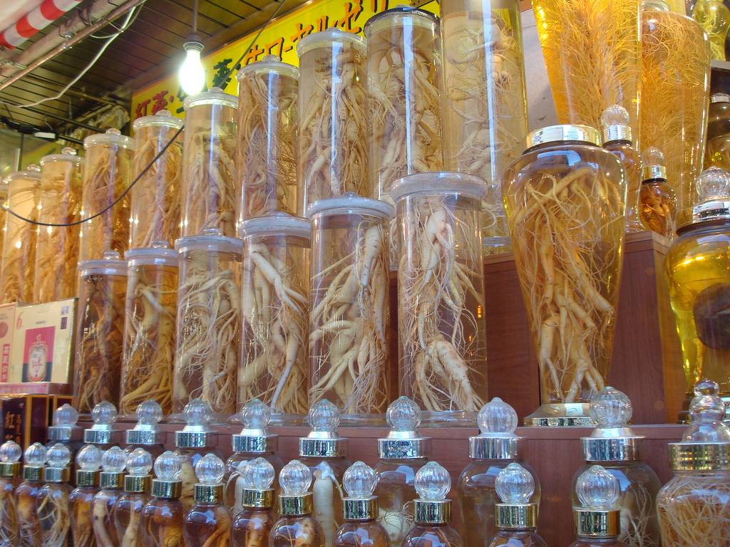 El diente de león se comercializa seca, triturada y en bolsitas o granel para infusiones. 