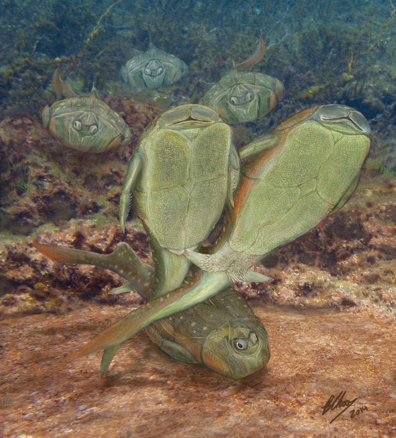 Los peces primitivos fueron pioneros en tener sexo con penetración
