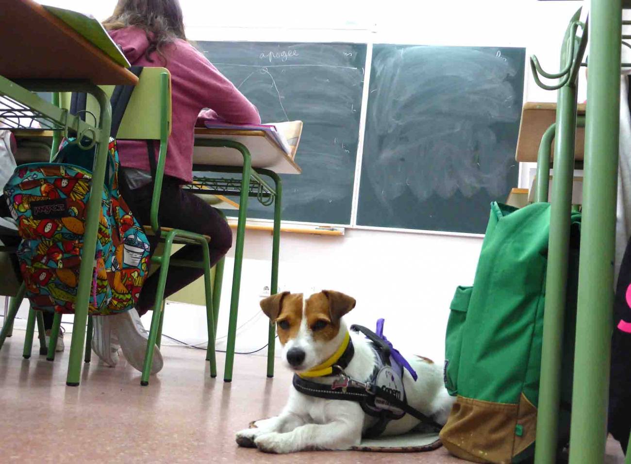 Lupa en clase