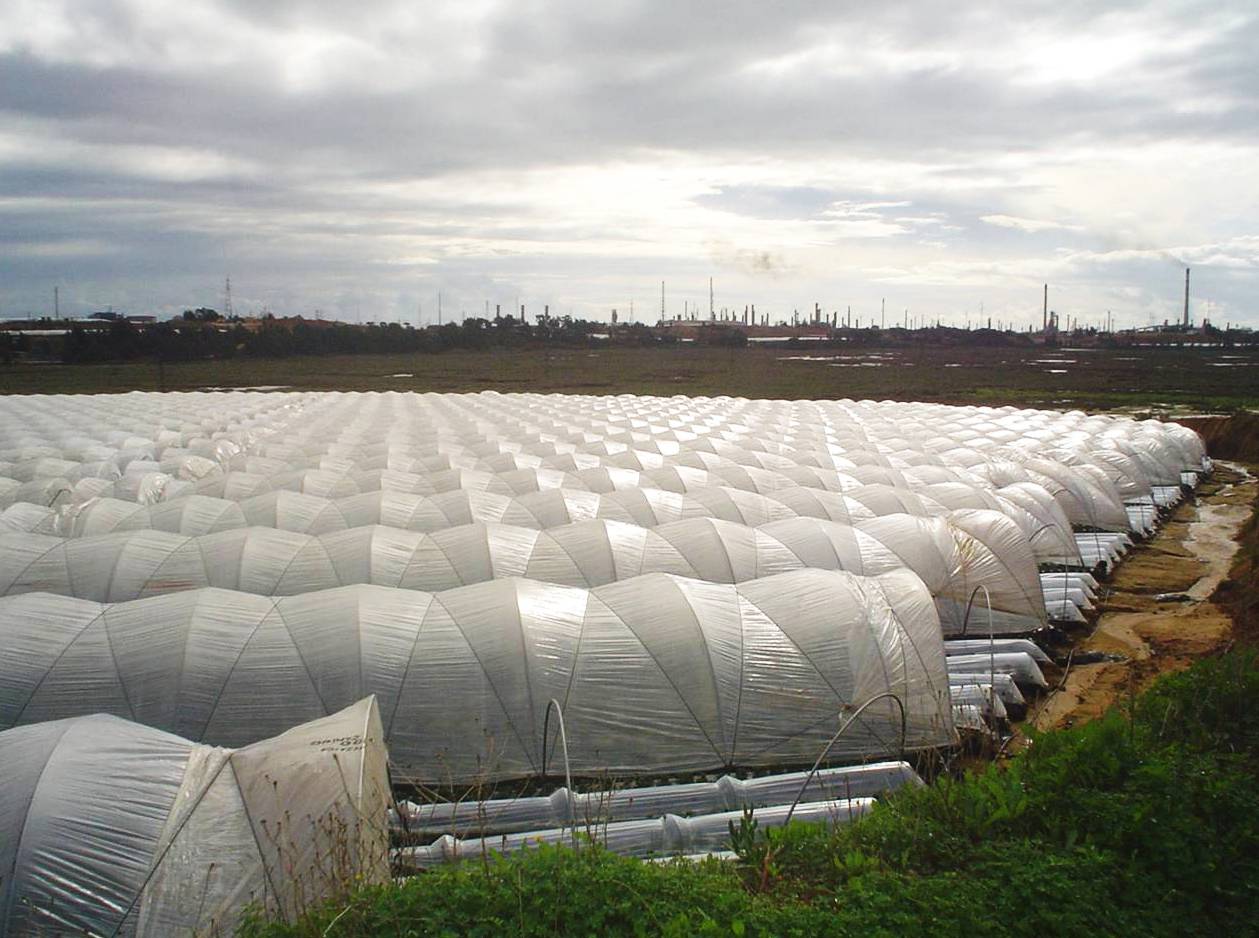 Metales pesados y pesticidas amenazan un humedal de Huelva