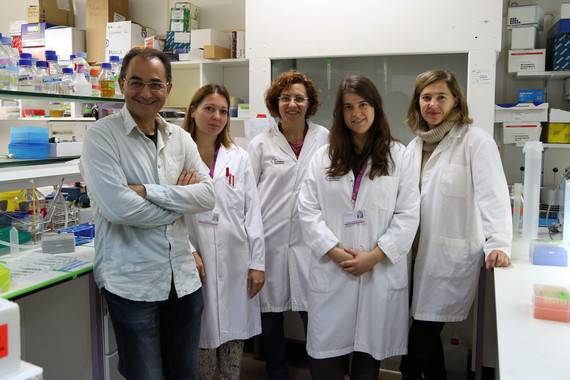 Nanomedicina para mejorar la respuesta al tratamiento del cáncer de mama y colon