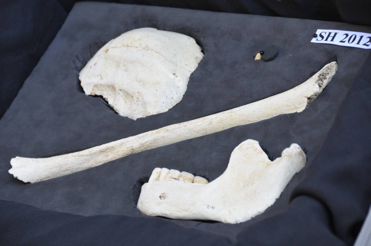 Nuevos restos de humanos en Atapuerca apuntan a un comportamiento colectivo