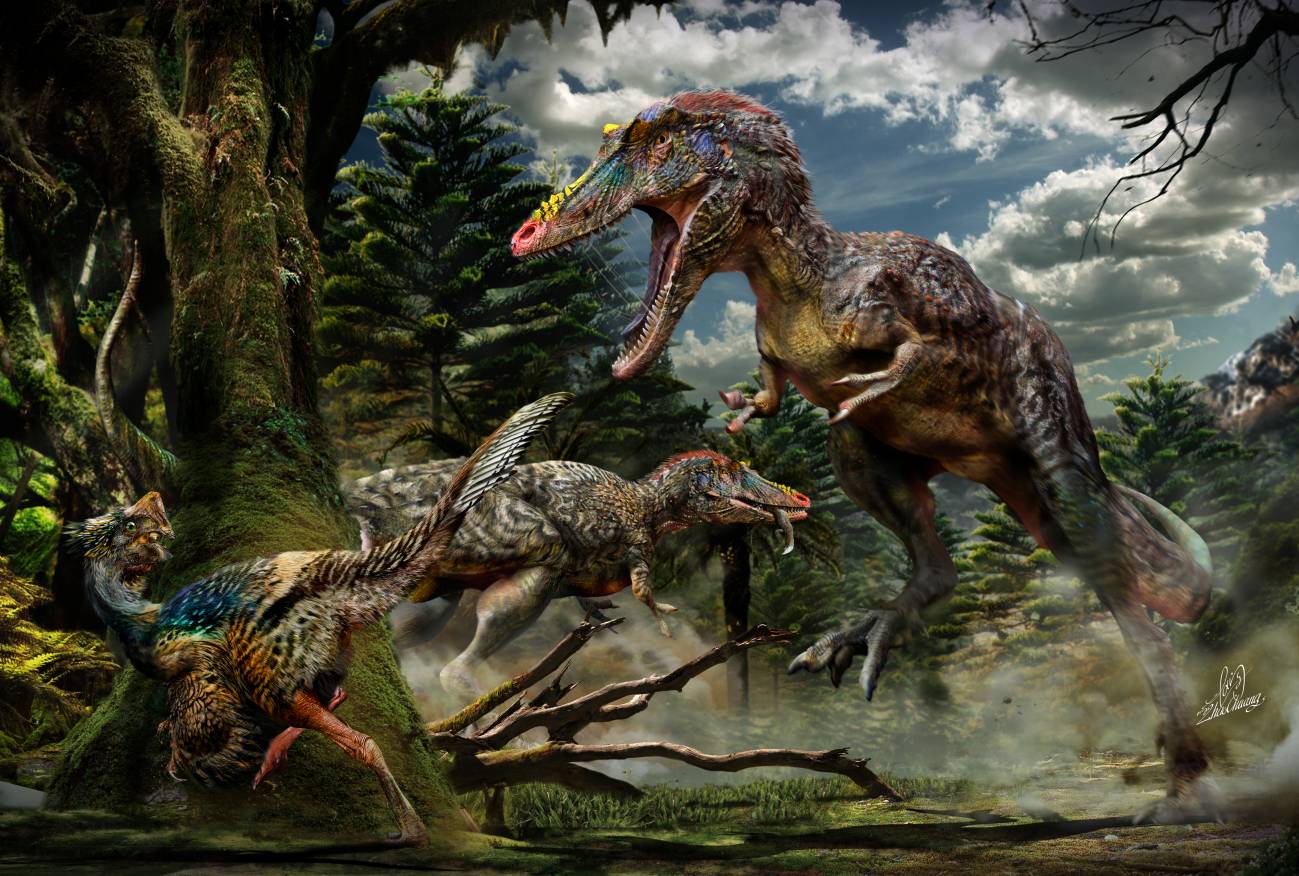 La imagen muestra a dos individuos Qianzhousaurus de caza. El que está en el primer plano persigue a un pequeño dinosaurio emplumado llamado Nankangia y el del fondo se come un lagarto. Los fósiles de estas tres especies tienen entre 72 y 66 millones de años. / Chuang Zhao. 