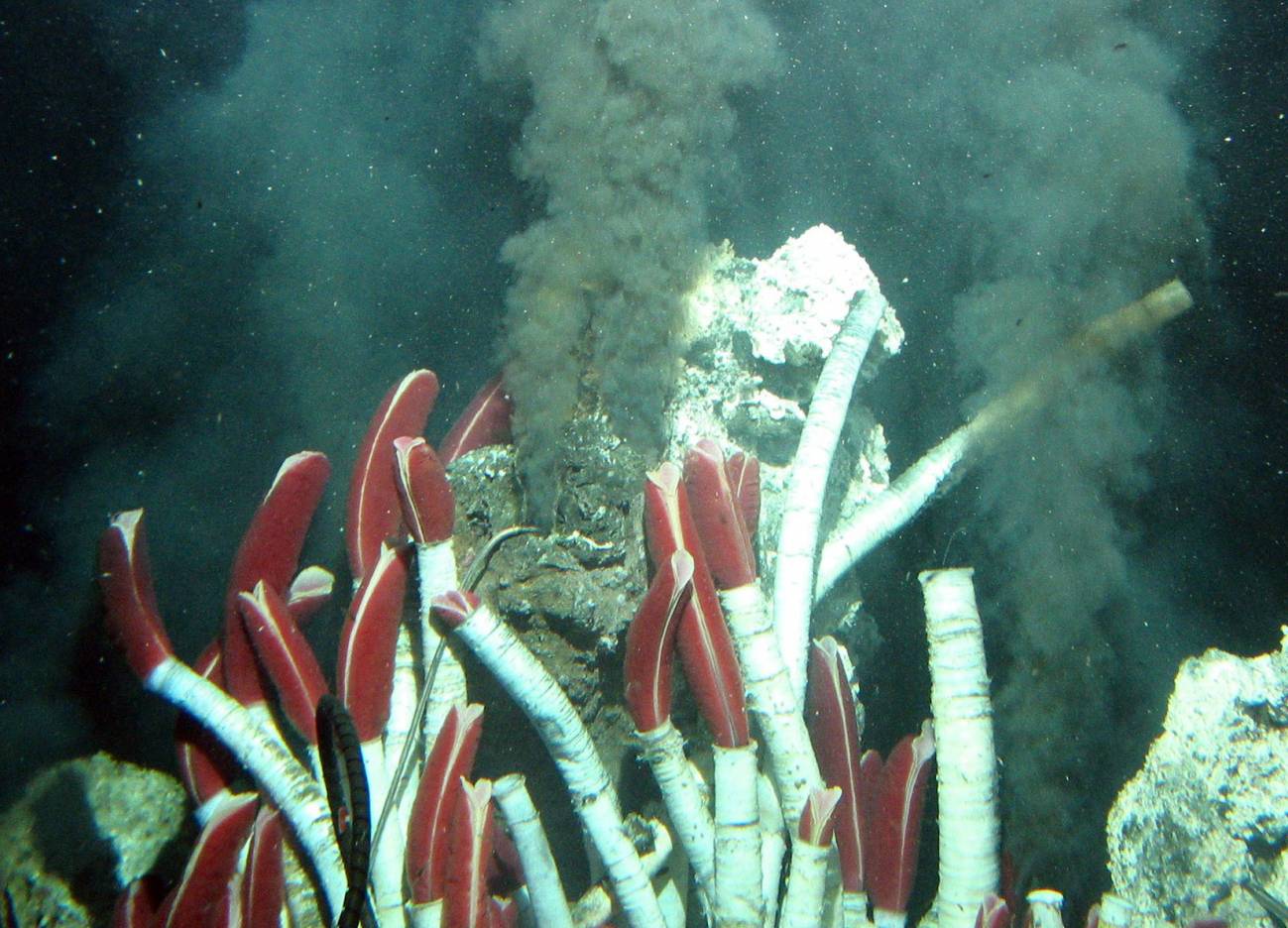 Remolinos marinos de 2.500 metros de profundidad ‘agitan’ los fondos oceánicos