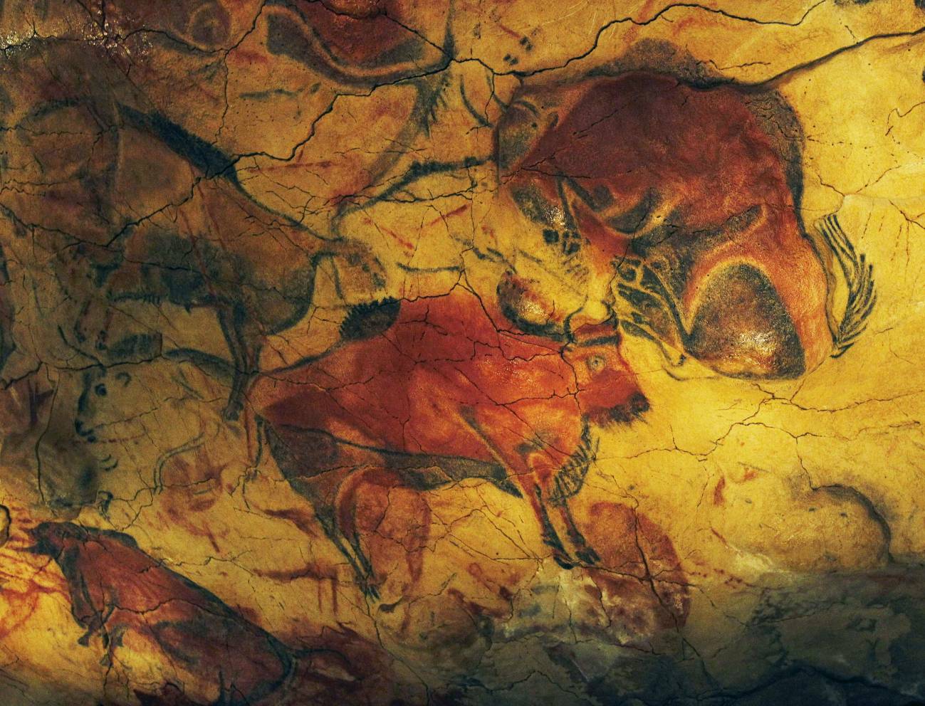 Se abre al público la Cueva de Altamira tras doce años de cierre