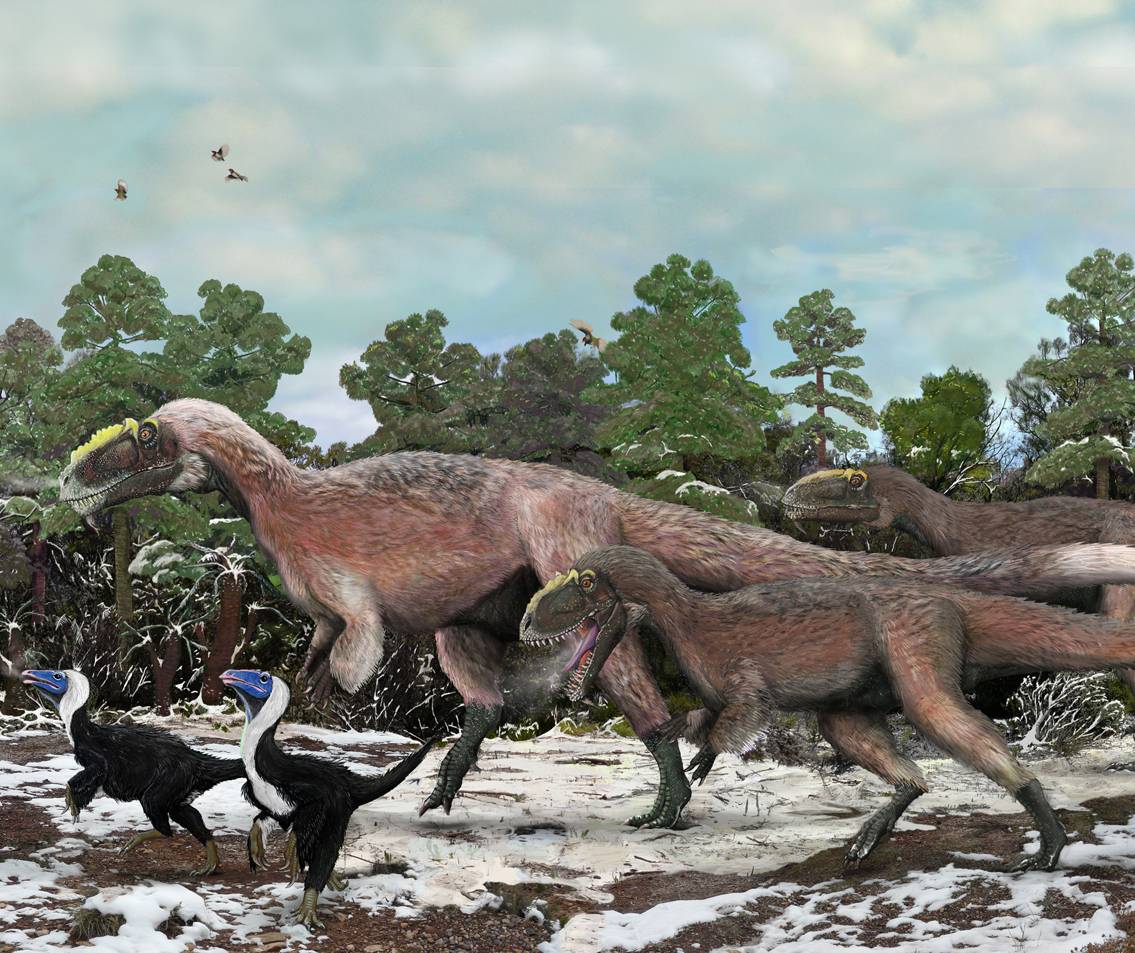 Reproducción de un ejemplar de Yutyrannus huali, el mayor dinosaurio con pluma. Imagen: Nature  