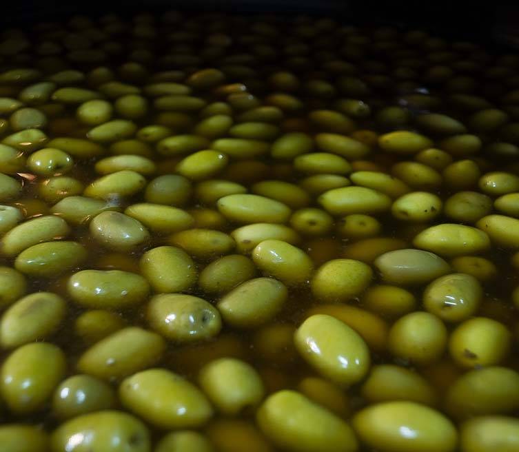 Aceitunas
