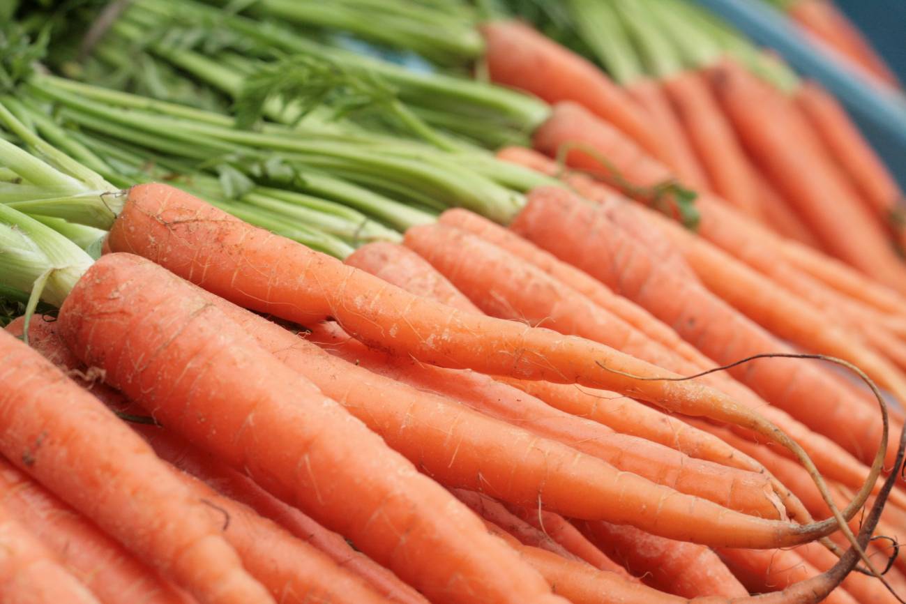 Un estudio sugiere que las zanahorias transgénicas pueden proporcionar más calcio