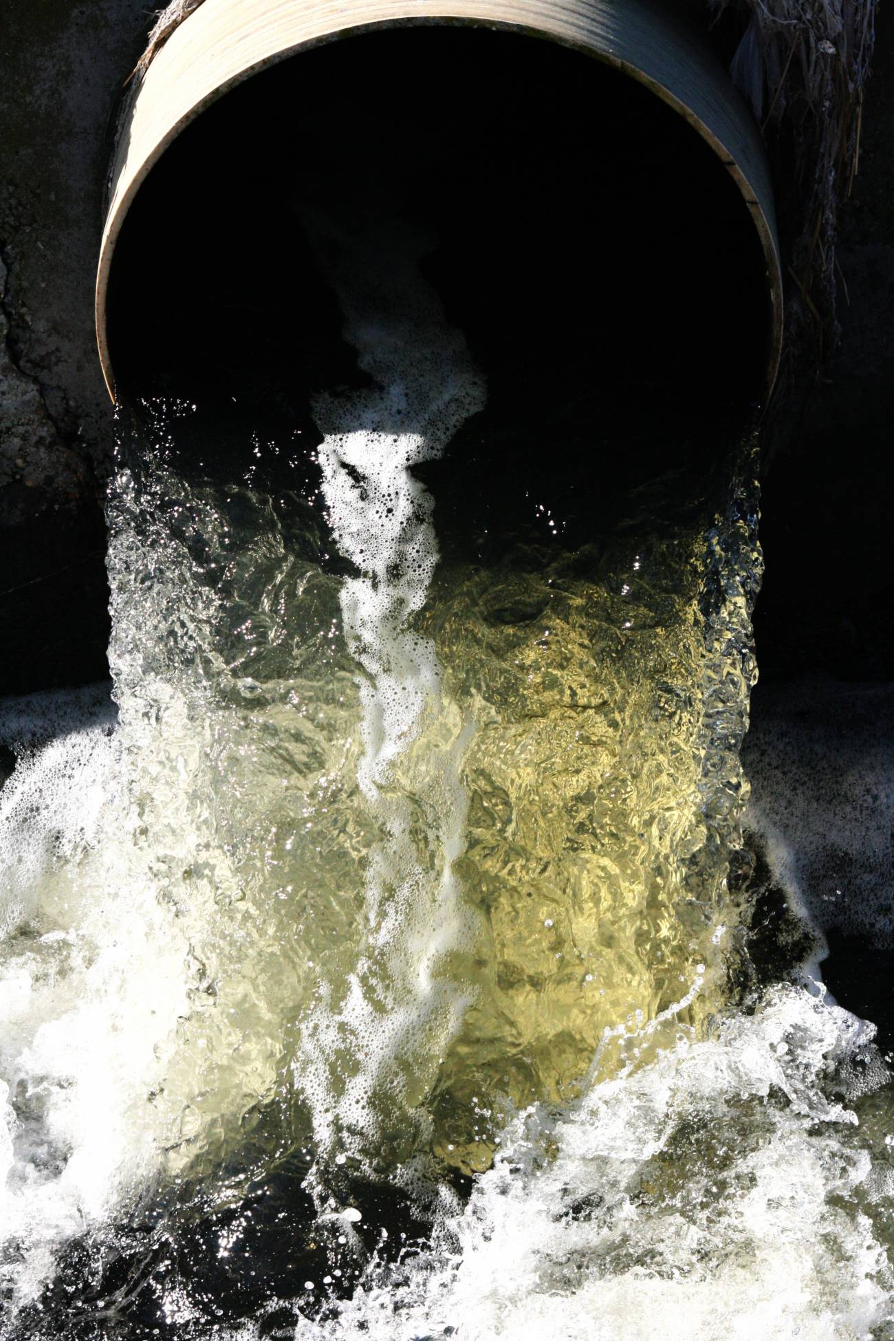 Un paquete de normas de calidad ambiental regulará la política de aguas