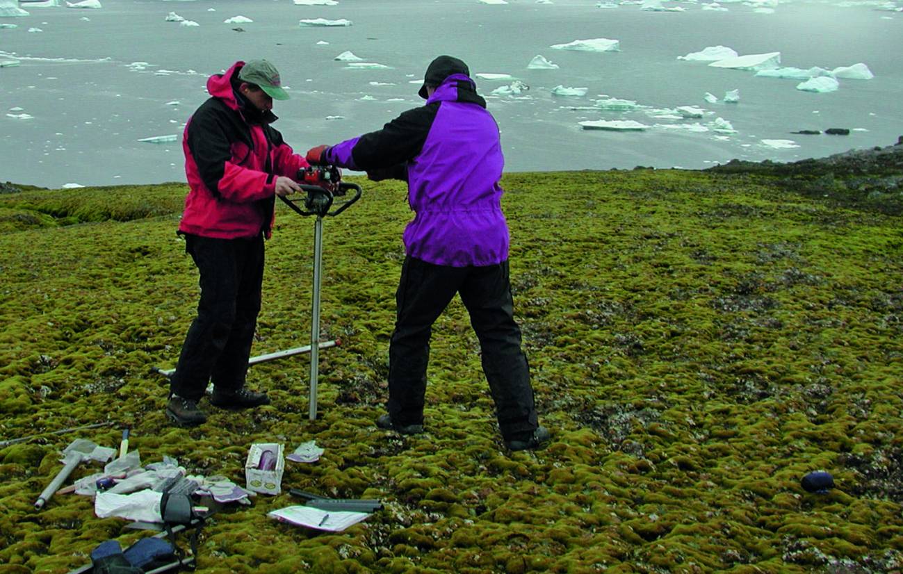 Los investigadores cogen una muestra de musgo en la zona del estudio. / P.Boelen