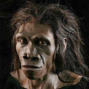 Homo erectus
