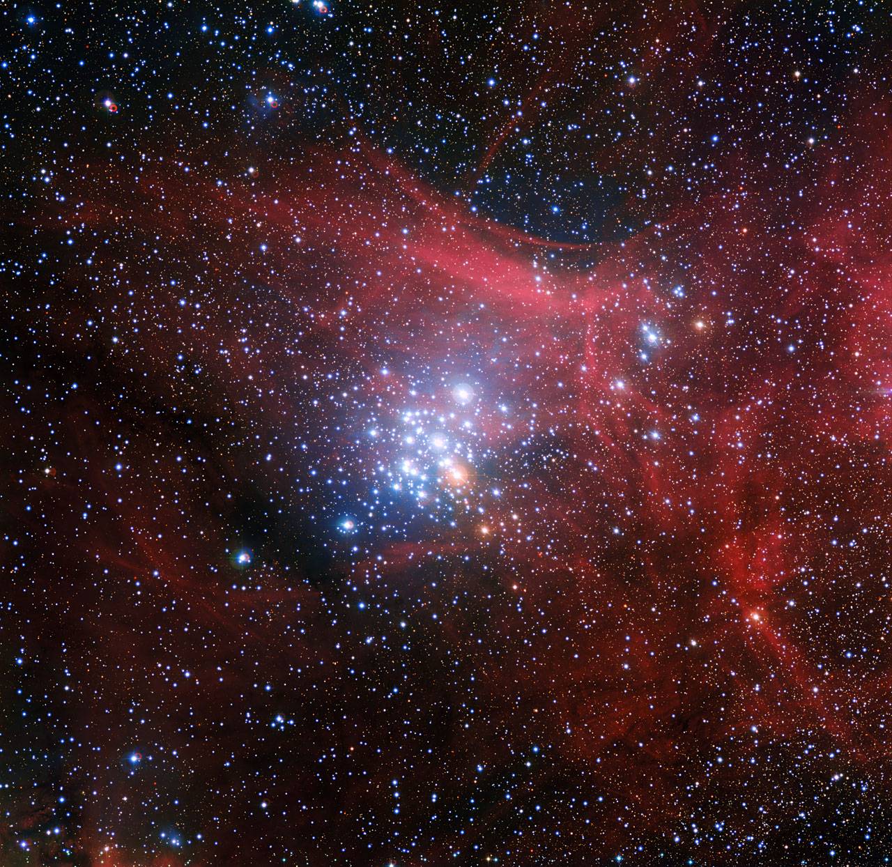 Vida y muerte de estrellas hermanas 
