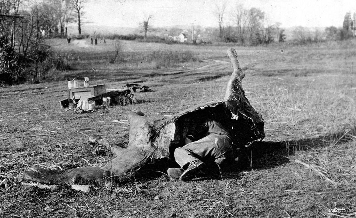 Cualquier cosa era buena con tal de que el enemigo no te viera. Se inventaron camuflajes tan curiosos como estos caballos de la imagen que eran usados por francotiradores. / U.S. Army Signal Corps / Brett Butterworth