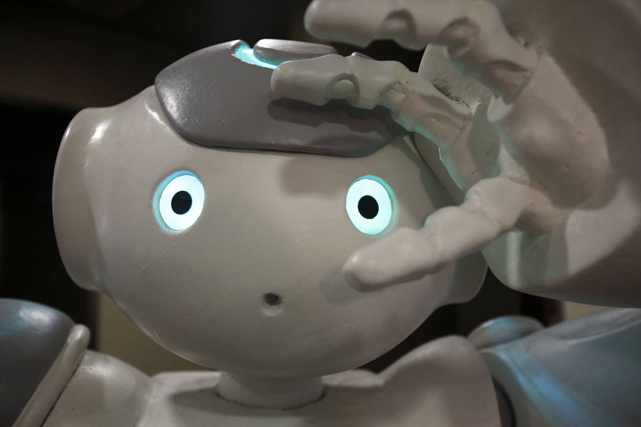 NAO es utilizado para múltiples plataformas de educación e investigación