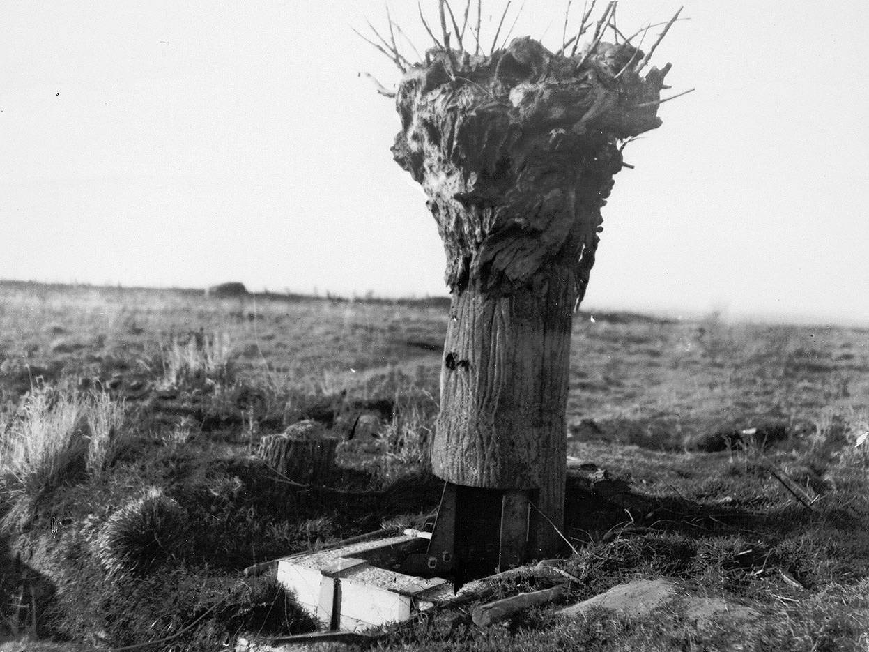 En la imagen, un falso árbol británico usado como puesto de observación. 