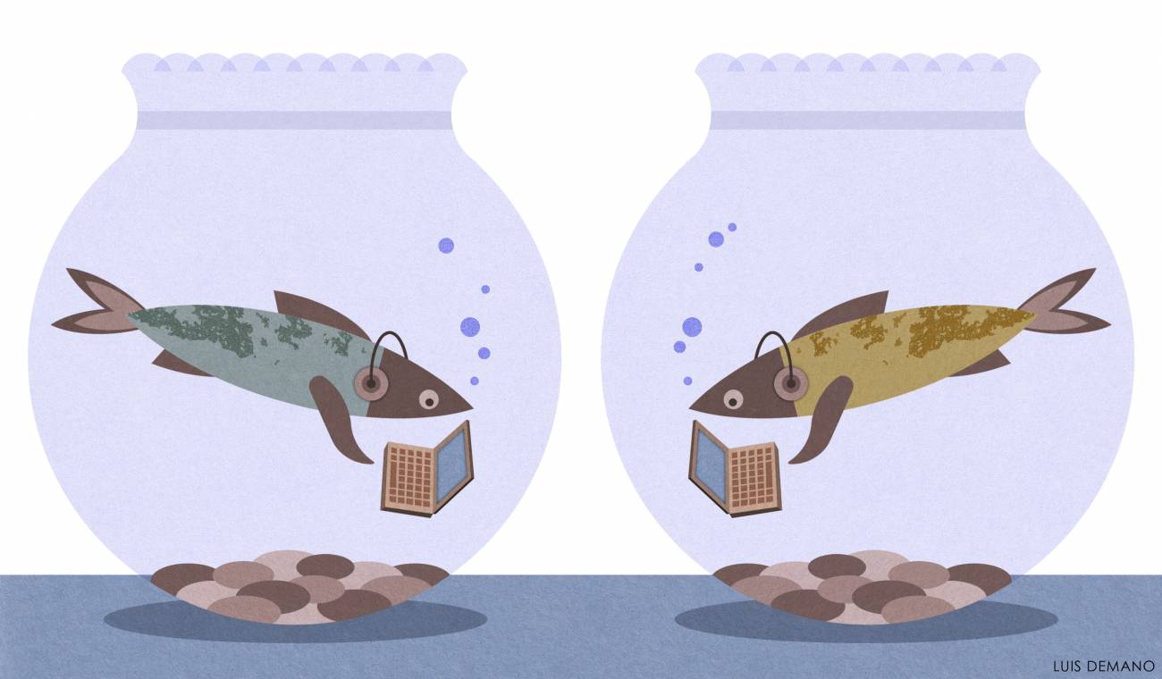 Estudian las relaciones que se entablan en las redes sociales