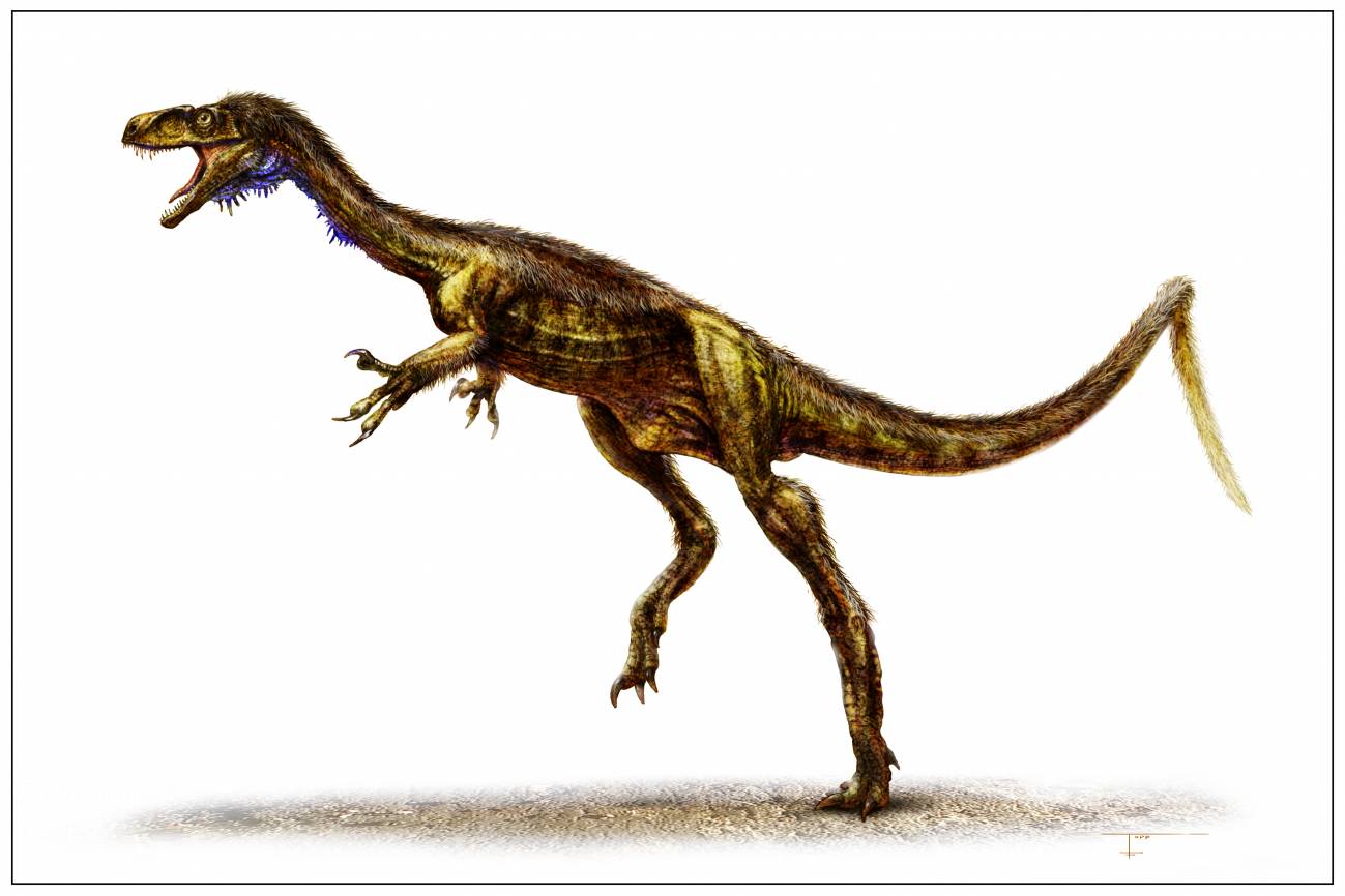 Descubren un nuevo dinosaurio depredador y bípedo