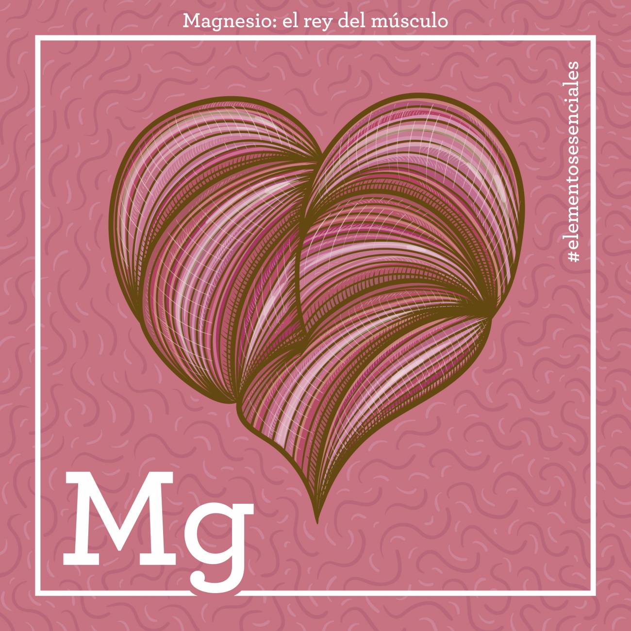 El magnesio, el rey del músculo