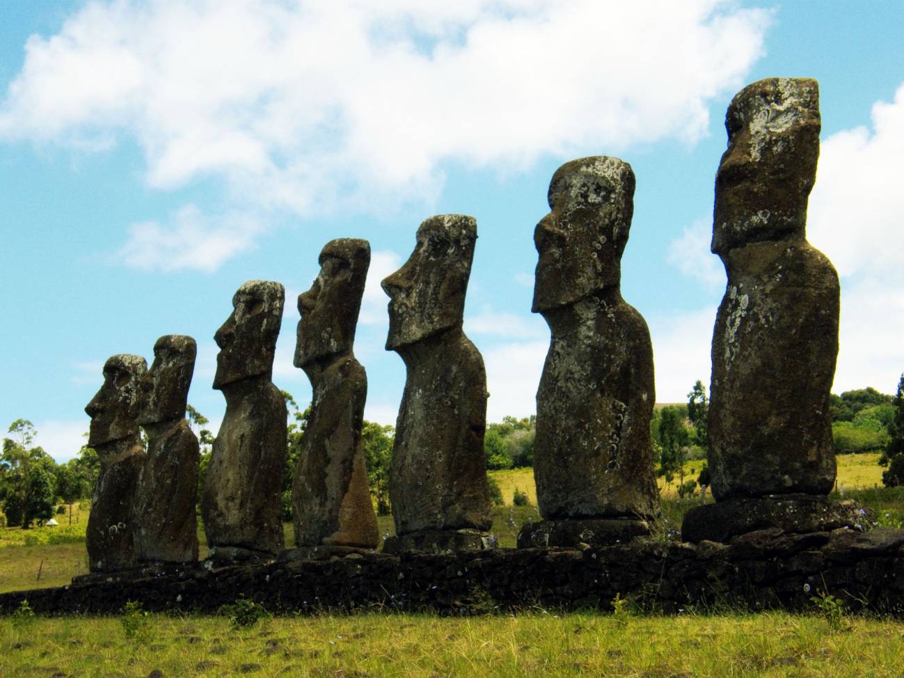 Consiguen prolongar la vida de los ratones con un compuesto de la isla de Pascua