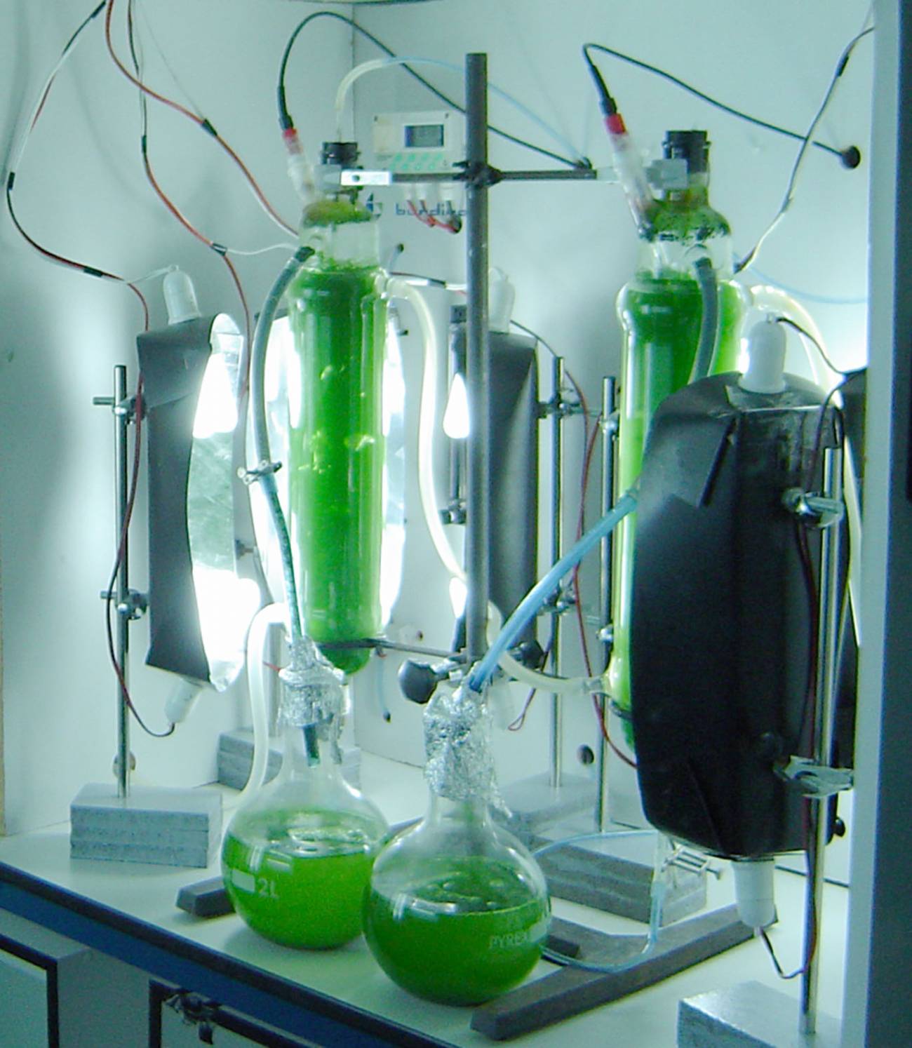 Cultivo de Spirulina