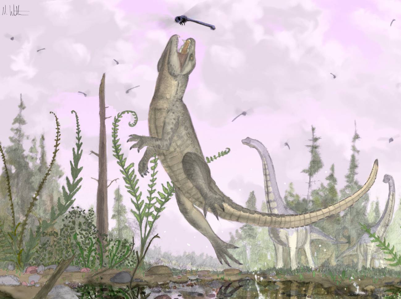 Descubren una nueva especie fósil de cocodrilo con dientes de mamífero