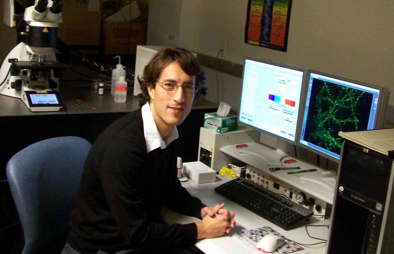 El lenguaje de las neuronas