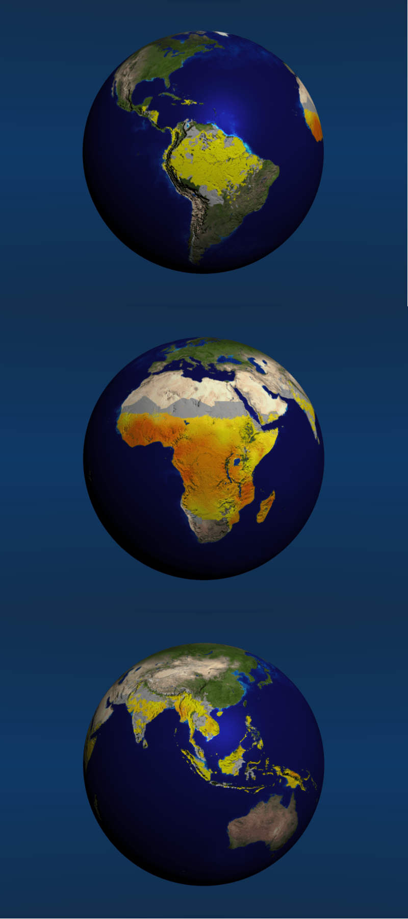 Elaboran el mapa más detallado sobre el riesgo global de malaria