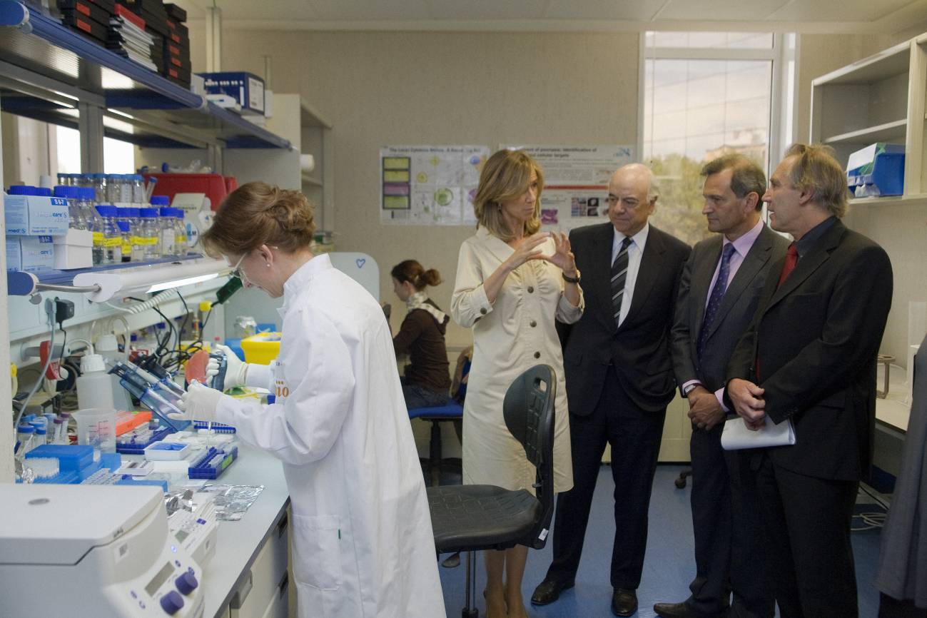 Presentan el primer mecenazgo científico español en materia de biomedicina