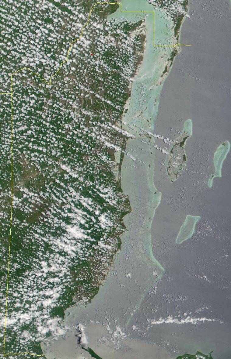 La Gran Barrera de Coral de Belice y el Parque Nacional Los Katíos ingresan en la Lista de Patrimonio Mundial en peligro