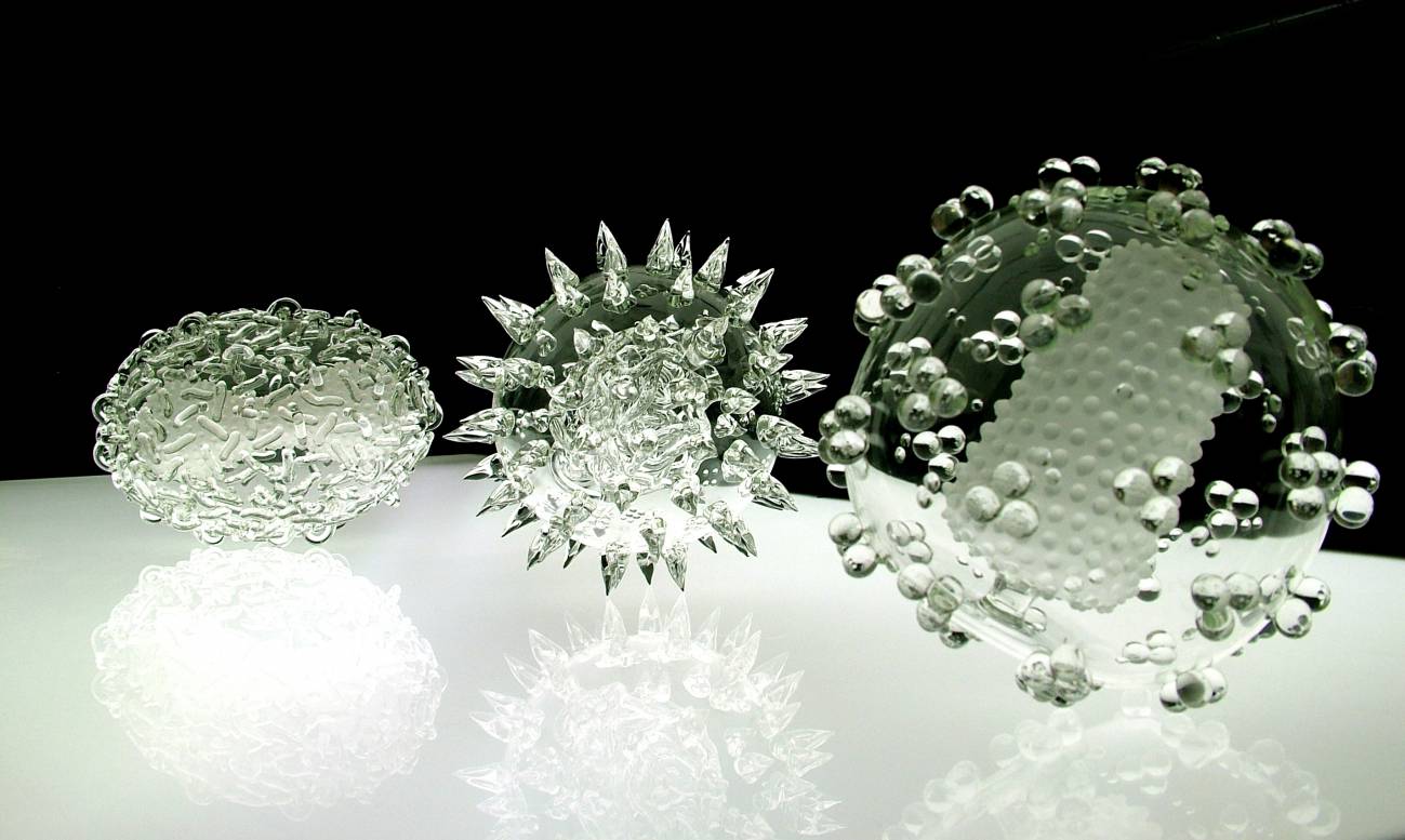 Microbiología de cristal