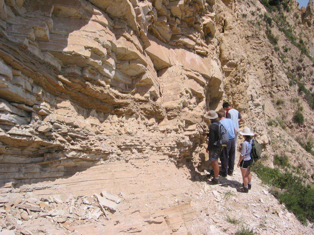 Un yacimiento español muestra la insólita conservación de los tejidos blandos en salamandras de hace unos 20 millones de años (II)