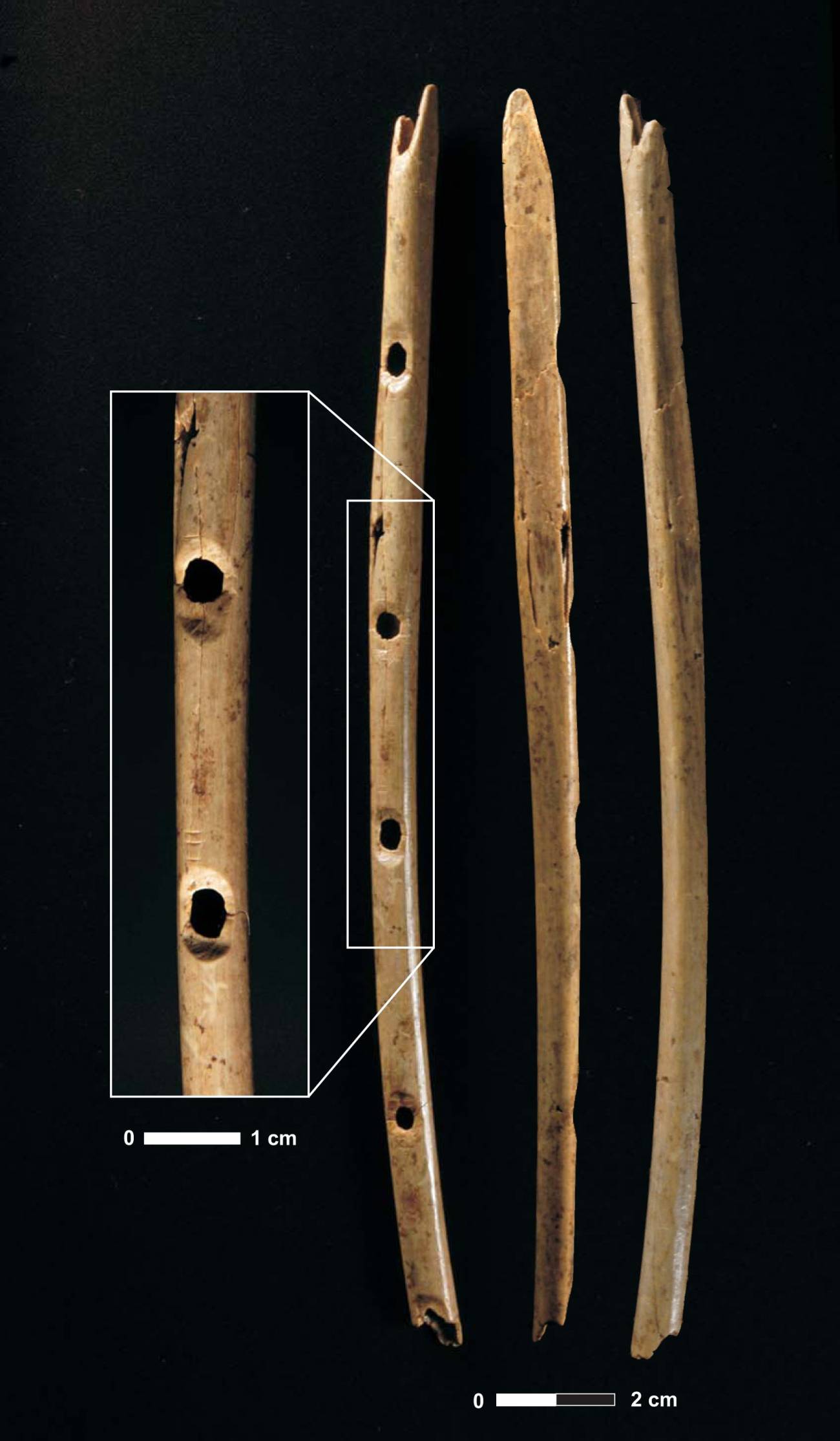 Una flauta, el instrumento musical más antiguo del mundo